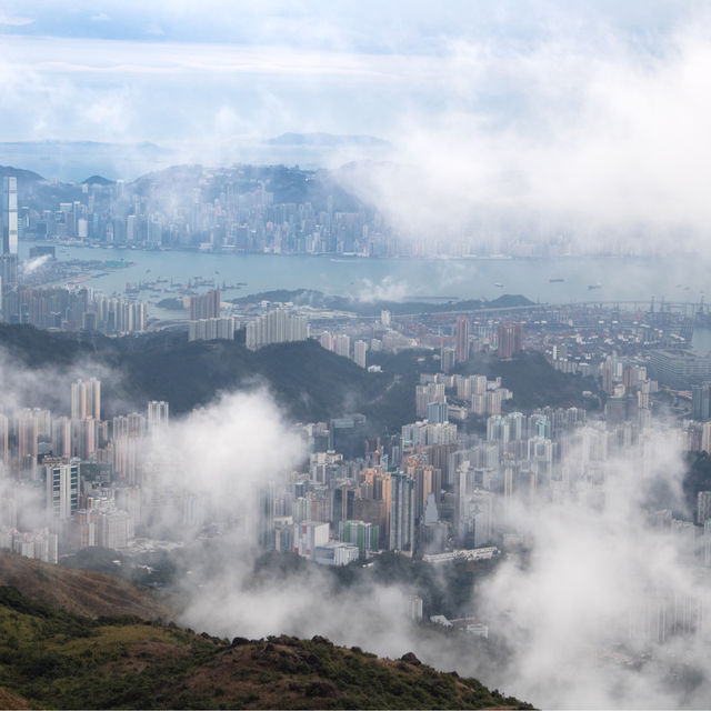 香港🇭🇰 ｜季節限定的山野景色🌟 - 大帽山 ⛰️