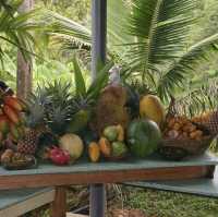 Exploring Penang's Fruit Wonderland!