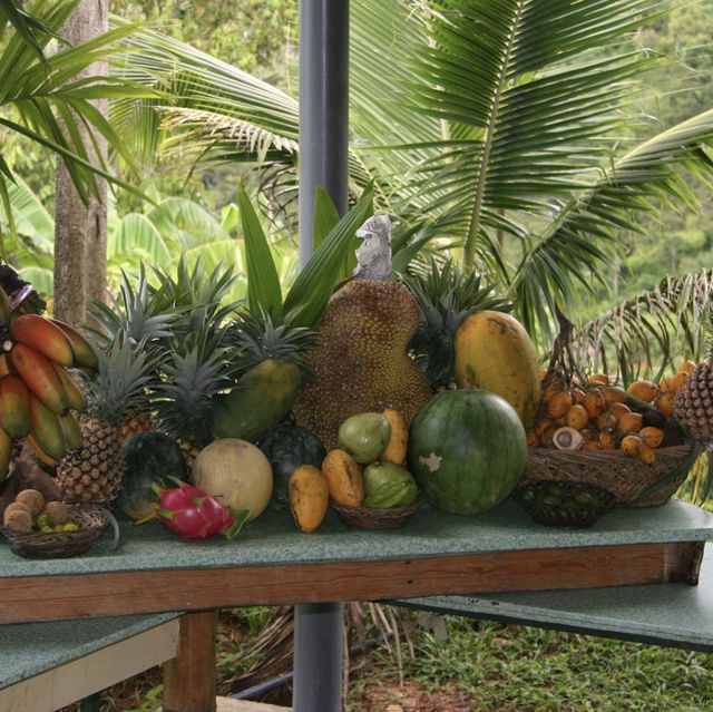 Exploring Penang's Fruit Wonderland!