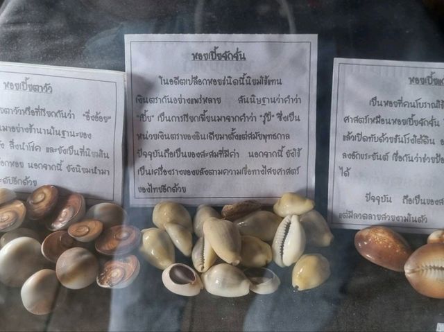 🏡บ้านพิพิธภัณฑ์ปากน้ำประแส จ.ระยอง