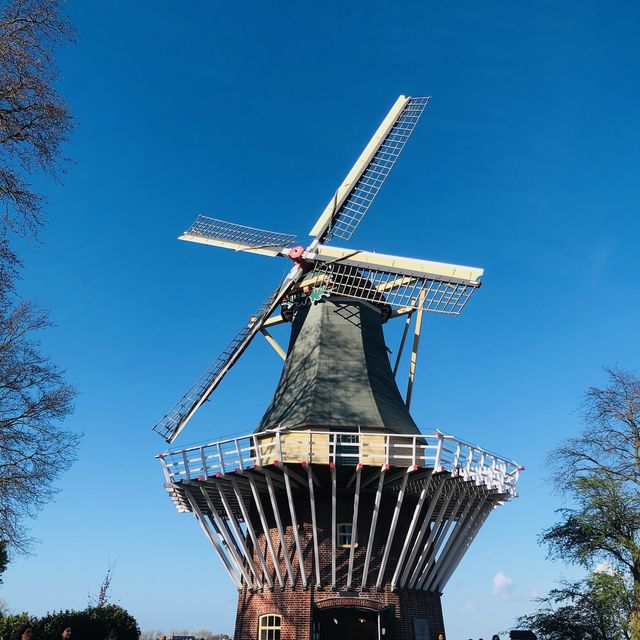荷蘭🇳🇱盧瑟Lisse•風車景觀區🎡🛶Keukenhof Garden庫肯霍夫花園 