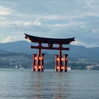 海の上の鳥居の厳島神社⛩️