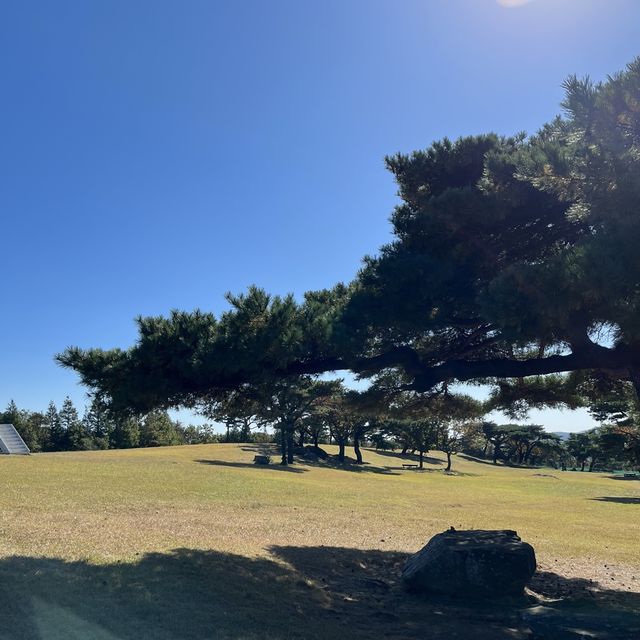 핑클 캠핑클럽 촬영지 화랑의언덕🍃🌳