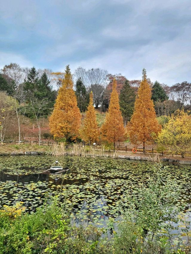 귀여운 전동차도 탈수 있는 경상남도 수목원🍂