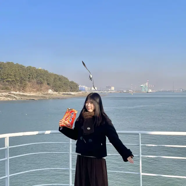 갈매기에게 새우깡 먹이 줄 수 있는 인천 영종도 배⛴️