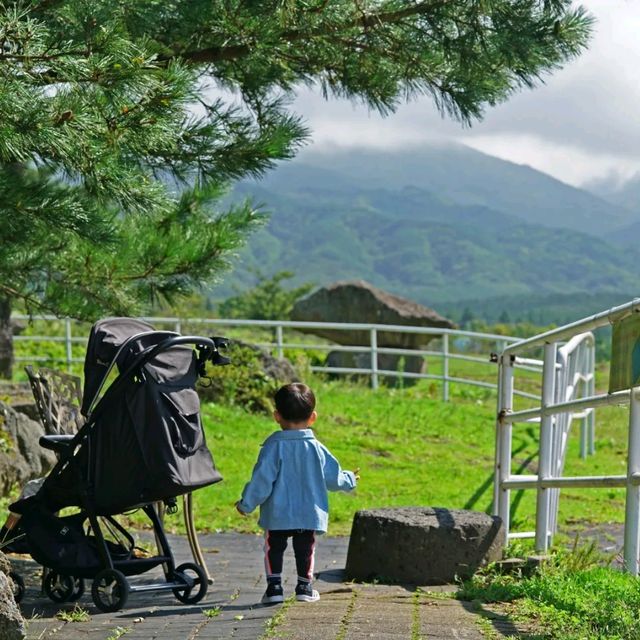 제주는 말이죠?! 🐎풍경을 즐기며 말을타보자 어승생승마장