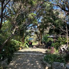 Fuu Cafe張用戶圖片