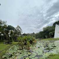 鬧市中的寧靜生態公園