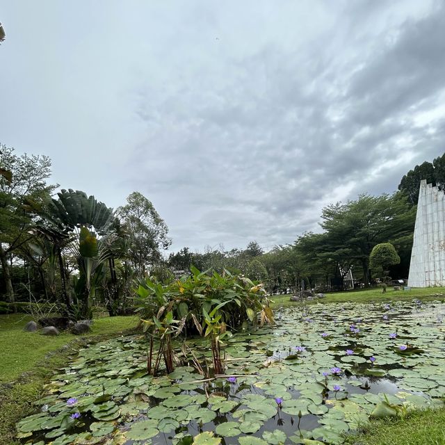 鬧市中的寧靜生態公園