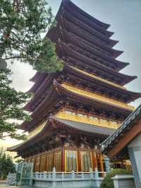 요즘 경주의 랜드마크느낌! 황룡원 중도타워🏯