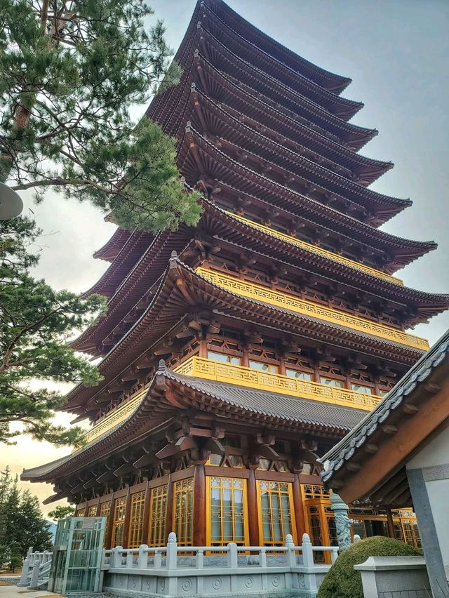 요즘 경주의 랜드마크느낌! 황룡원 중도타워🏯