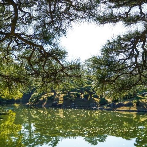 100년 전통의 일본 공원, 리쓰린공원 