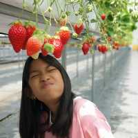 Grandberry Farm Osaka