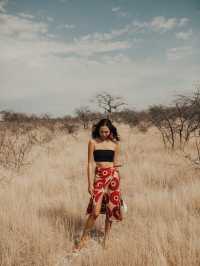 Damaraland Namibia