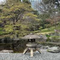 imperial palace garden - free sakura views 