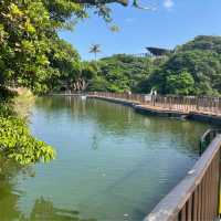 沖縄の動物園と言えば『こどもの国』