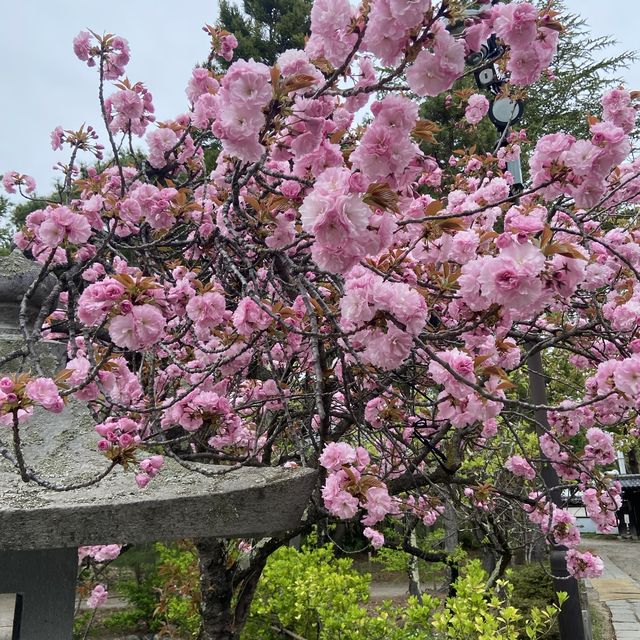 長野市 - 東京郊外旅遊勝地