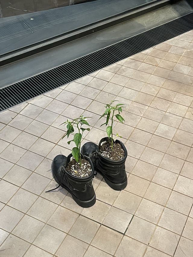 재미있는 전시회 추천!‘리움미술관’: 마우리치오 카텔란: WE