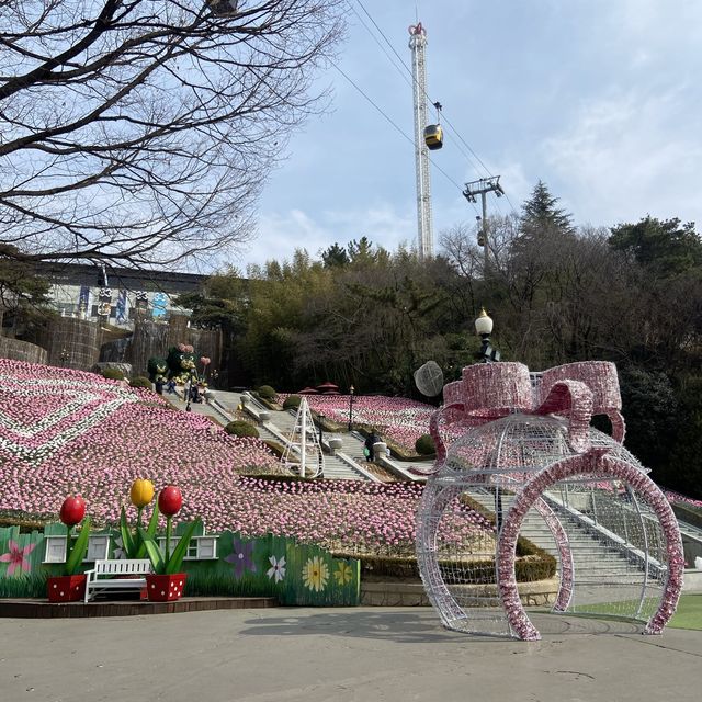 대구 아이와 함께 가볼만한 곳, 이월드 