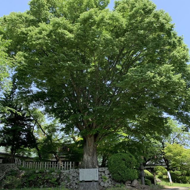 諏訪市高島城
