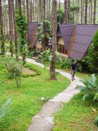 นอนบ้านไม้ เดินชมสวนสนฟรี สวนป่าดอยบ่อหลวง เชียงใหม่