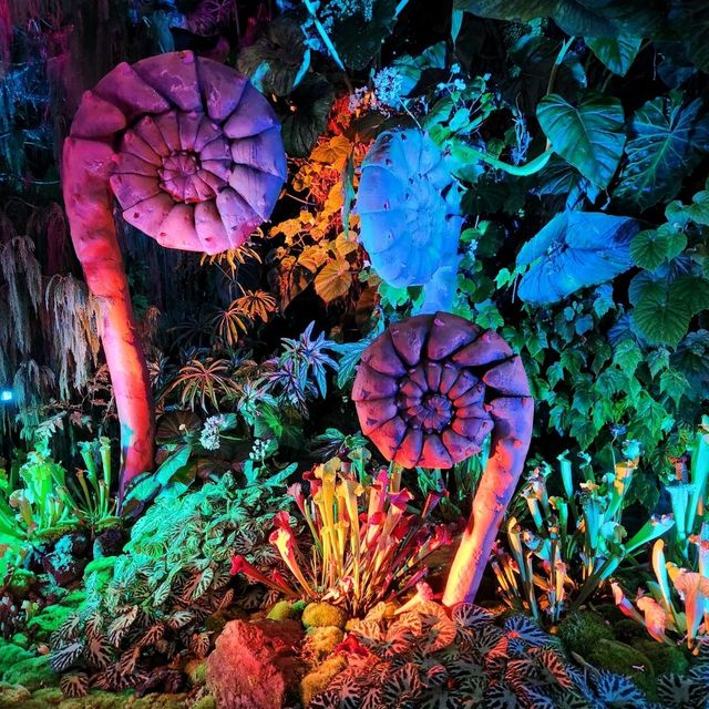 步入潘朵拉星球成為阿凡達-新加坡雲霧林