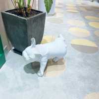 Woof & Magic shop , restaurant & cafe !