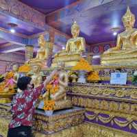 🐘วัดบางจาก🐘