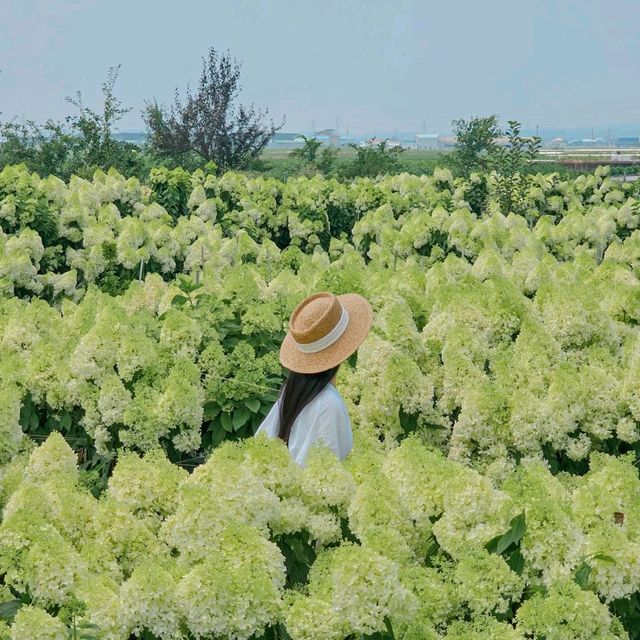 지금 가볼만한 전주근교 익산 카페 블랜드미