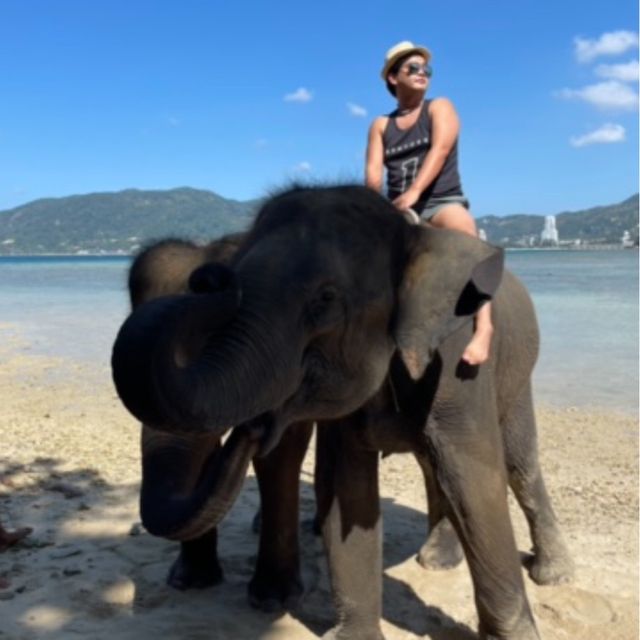 Elephant Swims @Lucky Beach, Tri Trang