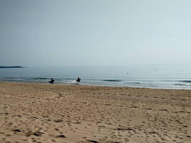 White pristine public beach at Desaru