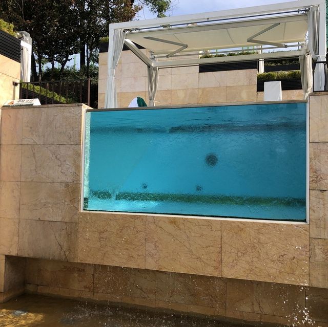 투명유리 수영장, 반얀트리 오아시스 클럽앤스파 👙🏊‍♀️