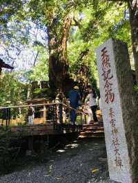 【静岡県/来宮神社】樹齢2100年の大楠が必見の神社