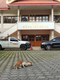 Wat Puak Taem