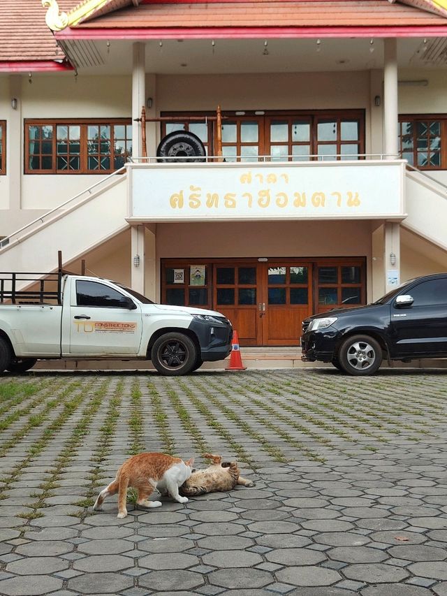 Wat Puak Taem