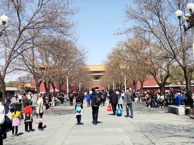 Discovering The Palace Museum in Beijing 