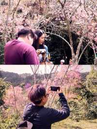 ย้อนเวลาไปขุนช่างเคี่ยน 🌸