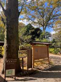東京【駒込】六義園