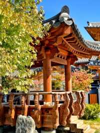 【韓国旅行】ソウル・恩平韓屋村✨美しい街並みに感動🥹