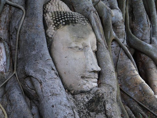 เที่ยววัดมหาธาตุ  อยุธยา 🙏🏻🙏🏻