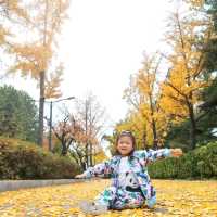 韓國必去免費親子遊 - 兒童大公園