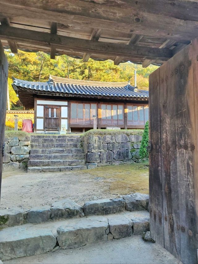 늦가을 즐기기 좋은 밀양여행지🍂