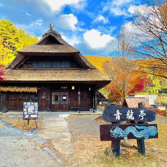 Iyashino-Sato Nenba Healing Village