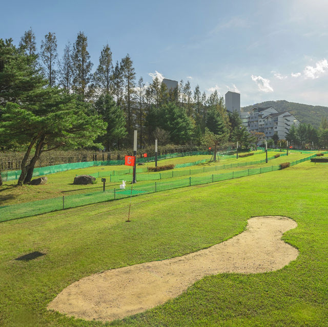 가족끼리 놀거리를 찾는다면 금호설악리조트에서 파크골프를 즐겨보자🏌️‍♀️
