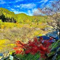 四季桜公園