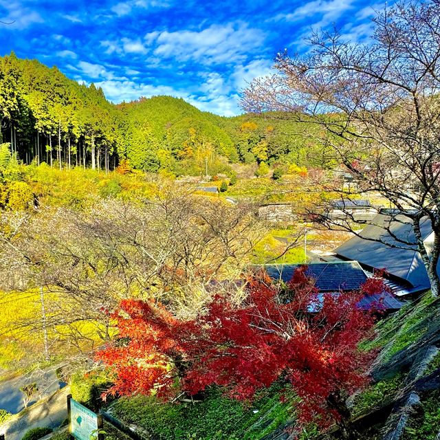 四季桜公園