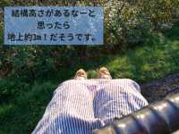 発生率40％の奇跡！雲海テラスドライブ