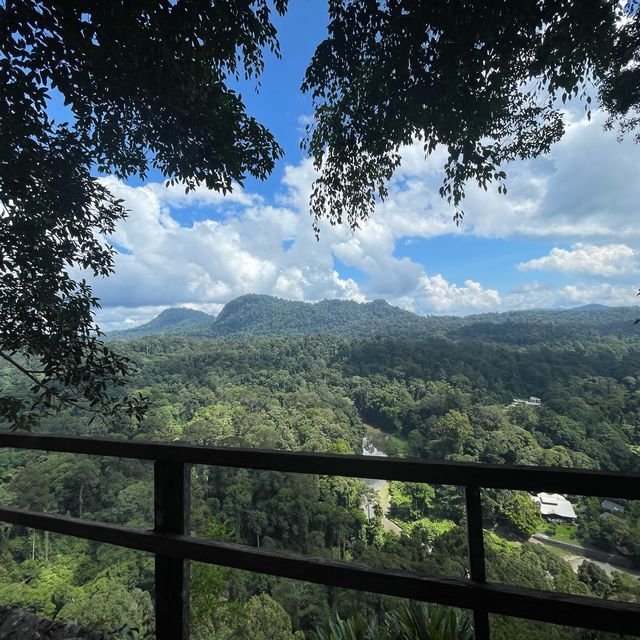 Virgin Forest - Danum Valley