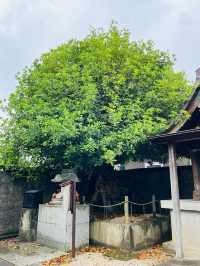 【島根県/出世稲荷神社】2023年行ってよかった！島根県の神社⑧