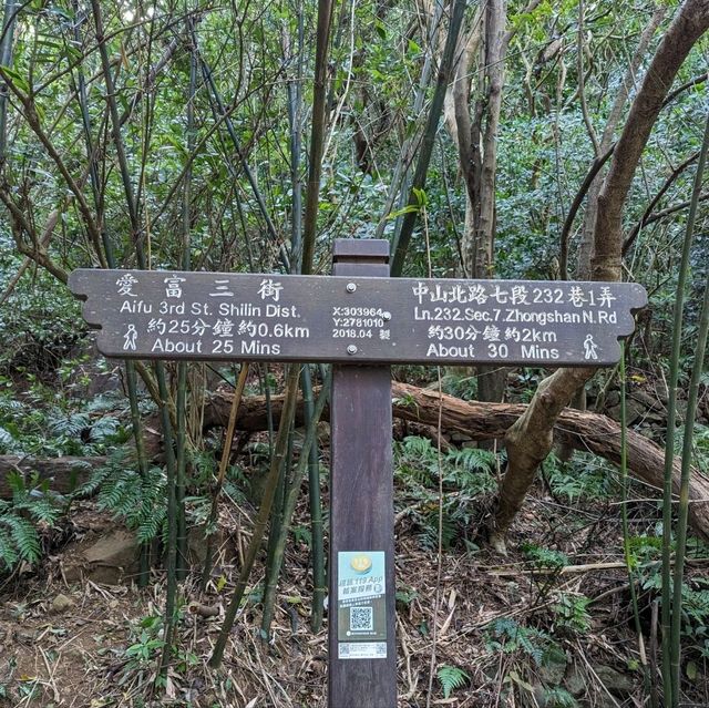 陰涼好走的天母古道